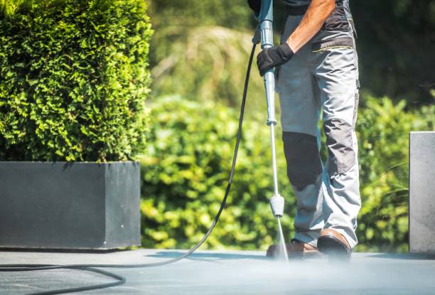 Best Graffiti Removal  in Lake Sarasota, FL